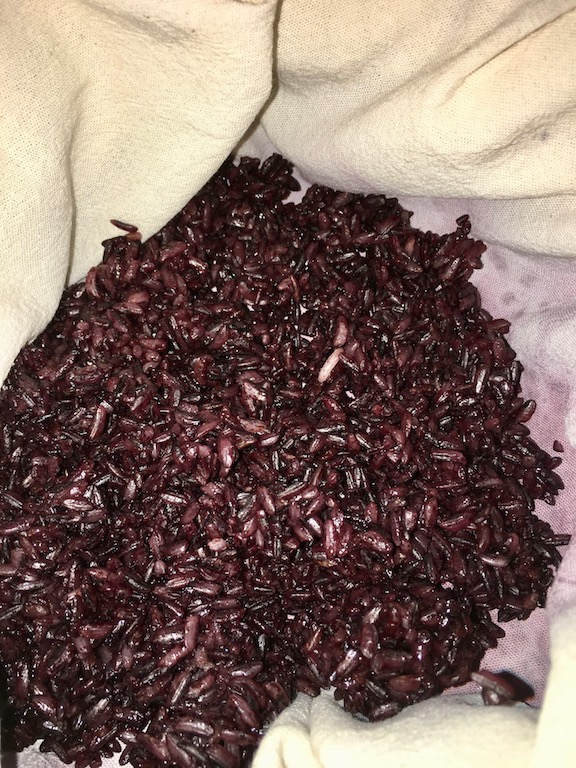 Rezepte: Süsses: Klebreis mit Kokos- & Mango-Sauce: Klebreis, lila, gedämpft