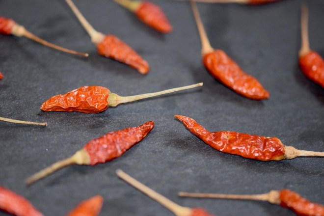 Chilis-Wissenswertes - Chilis - Wissen - Info - Chilisorten - Warenkunde - Chilischoten - frische Chilis - getrocknete Chilis - Schärfegrade - Scoville Einheiten