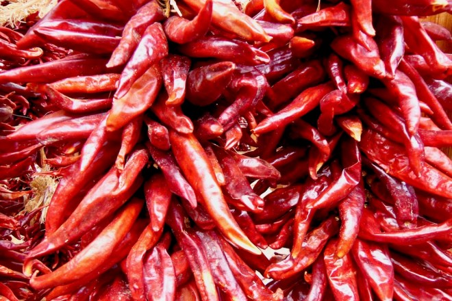 Chilis-Wissenswertes - Chilis - Wissen - Info - Chilisorten - Warenkunde - Chilischoten - frische Chilis - getrocknete Chilis - Schärfegrade - Scoville Einheiten