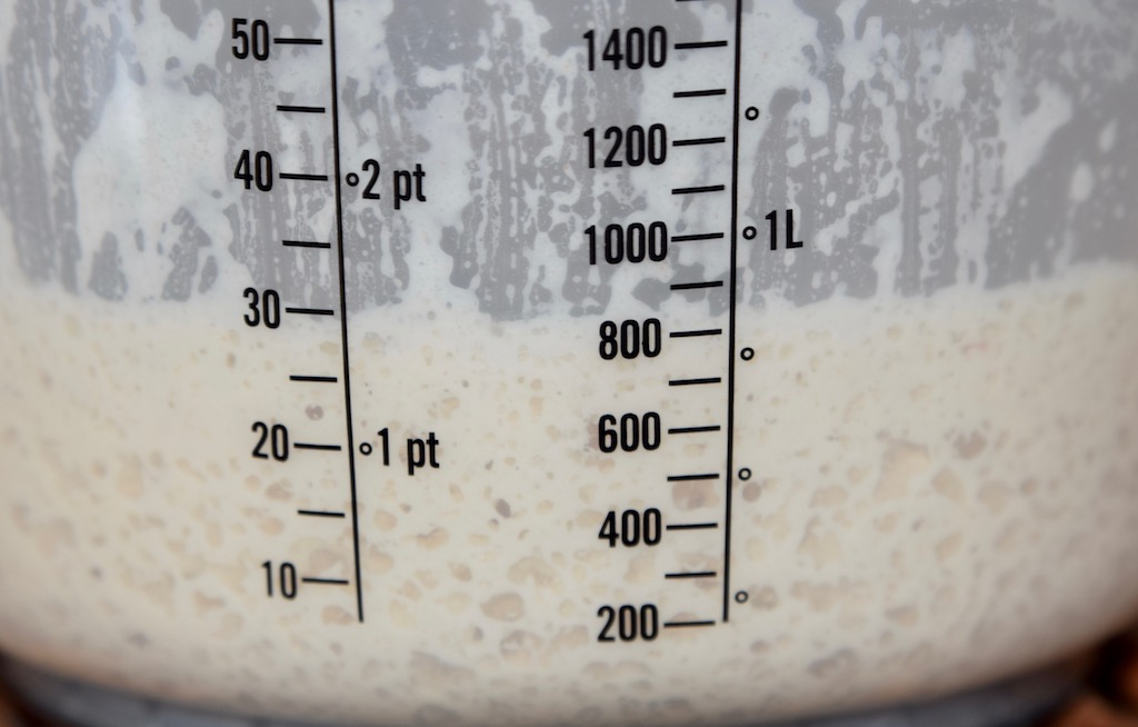Rezepte: Sonstiges: Pizzateig - glutenfrei - Pizzateig nach dem Gehen