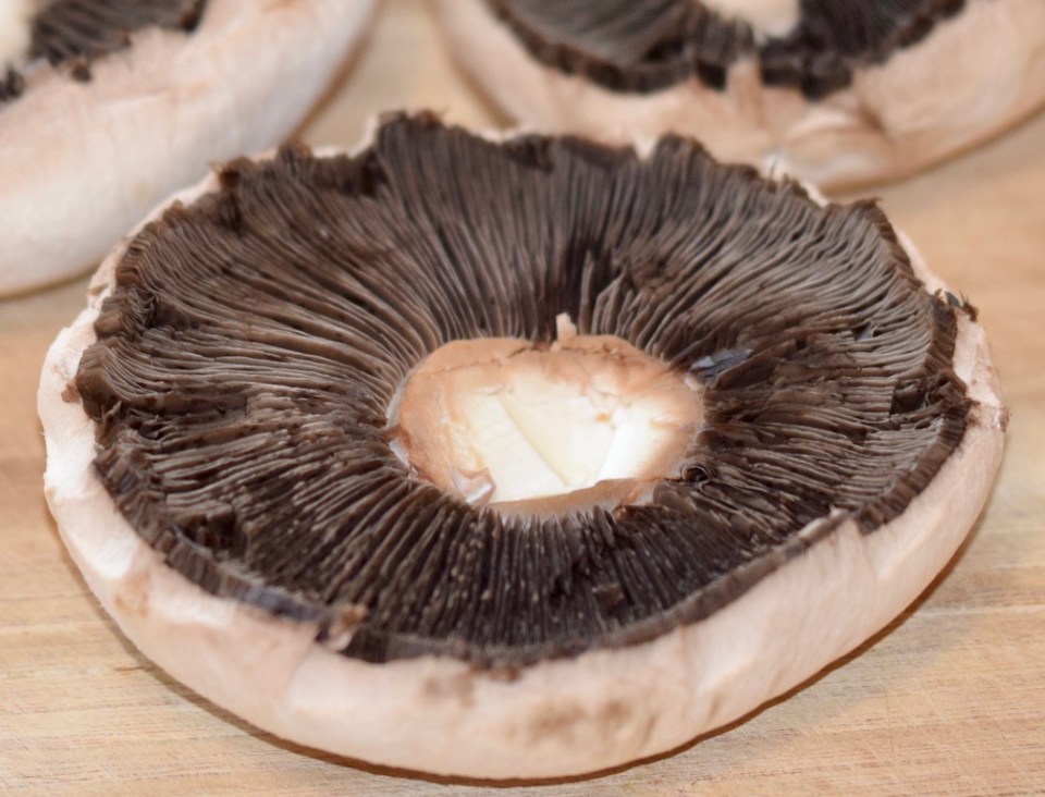 Rezepte: Kleinigkeiten: Portobello, geputzt