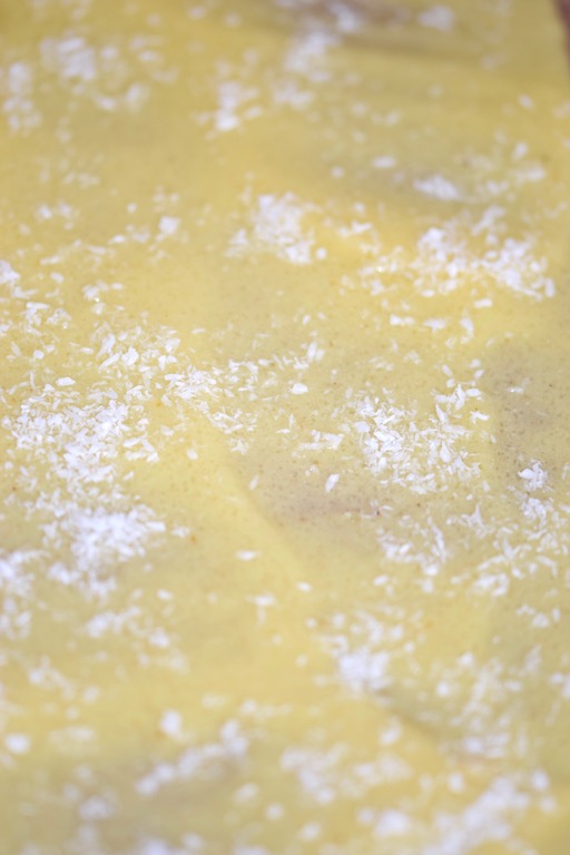 Tipps & Infos: Fruchtleder - eine gesunde Nascherei - Piña-Colada-Fruchtleder mit Kokosflocken