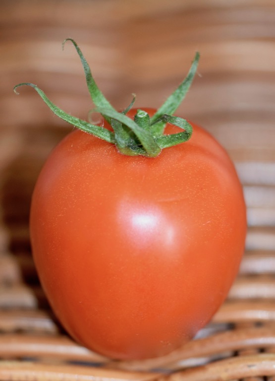 Tipps & Infos: Urlaubsküche aus der Mikrowelle - 14 Tipps für das Kochen mit der Mikrowelle - Tomate