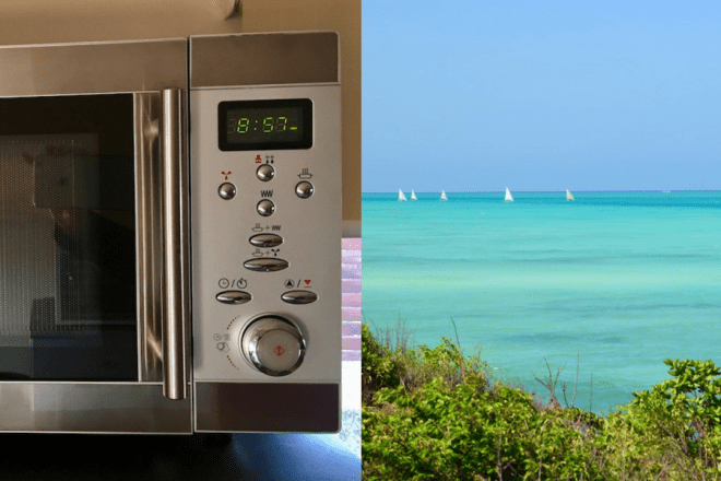 Tipps & Infos: Urlaubsküche aus der Mikrowelle - 14 Tipps für das Kochen mit der Mikrowelle