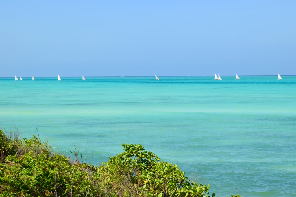 Tipps & Infos: Urlaubsküche aus der Mikrowelle - 14 Tipps für das Kochen mit der Mikrowelle: Zansest Beach - Sansibar-Tansania