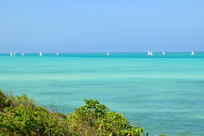 Tipps & Infos: Urlaubsküche aus der Mikrowelle - 14 Tipps für das Kochen mit der Mikrowelle: Zansest Beach - Sansibar-Tansania