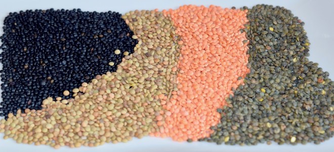 Linsen - Sorten - gesund - Hülsenfrüchte - Infos - Tipps - Arten - Informationen - Wissenswertes - essen - Lebensmittel