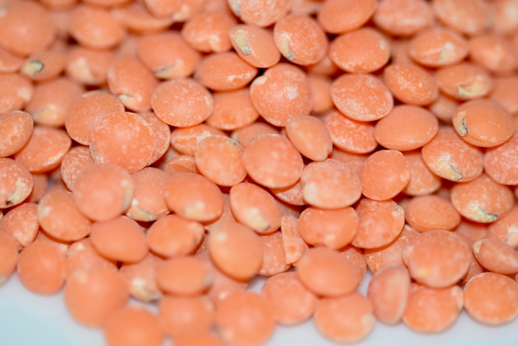 Linsen - Sorten - gesund - Rezepte - Hülsenfrüchte - Infos - Tipps - Arten - Informationen - Wissenswertes - essen - Lebensmittel