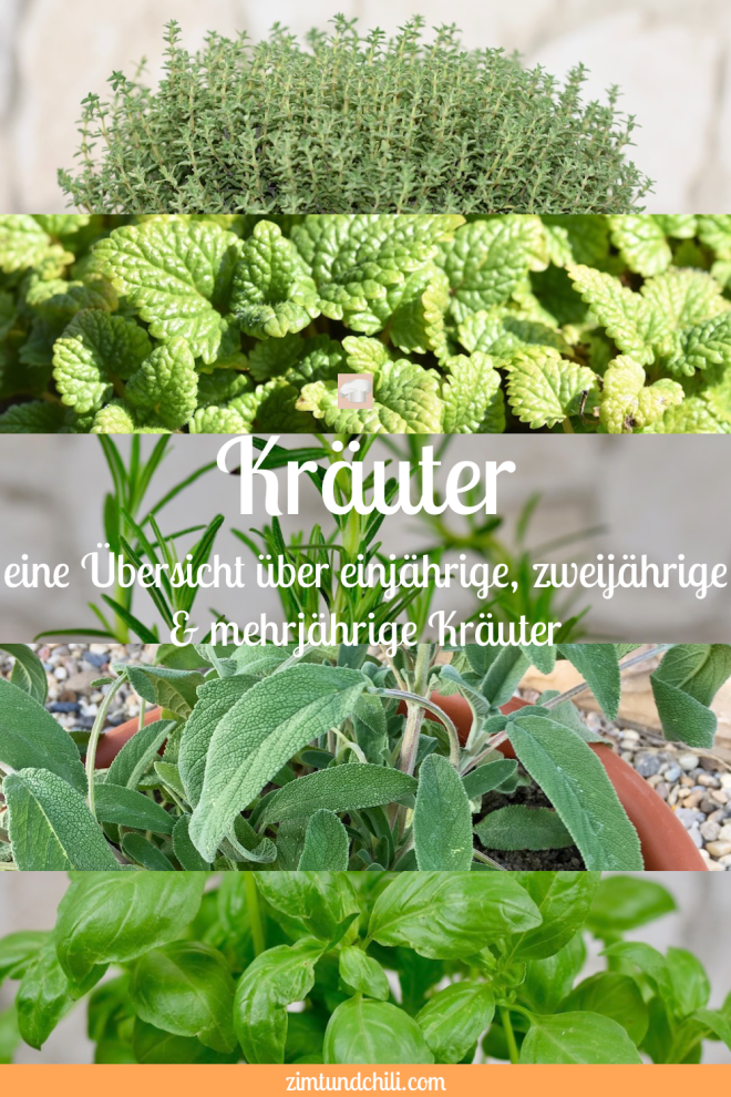 einjährige, zweijährige und mehrjährige Kräuter - einjährige Kräuter - zweijährige Kräuter - mehrjährige Kräuter - ein Überblick - Liste - Küchenkräuter - Kräuter - Kräutergarten - Garten