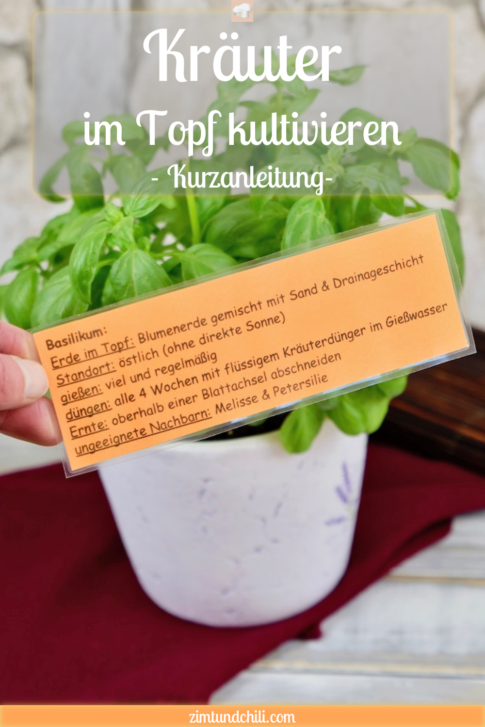 Kräuter im Topf kultivieren - eine Kurzanleitung - Kräuter pflanzen - Kräuter anpflanzen Wohnung - Kräuter säen - Kräuter in der Küche - Kräuter Topf Balkon - Küchenkräuter - Kräuter