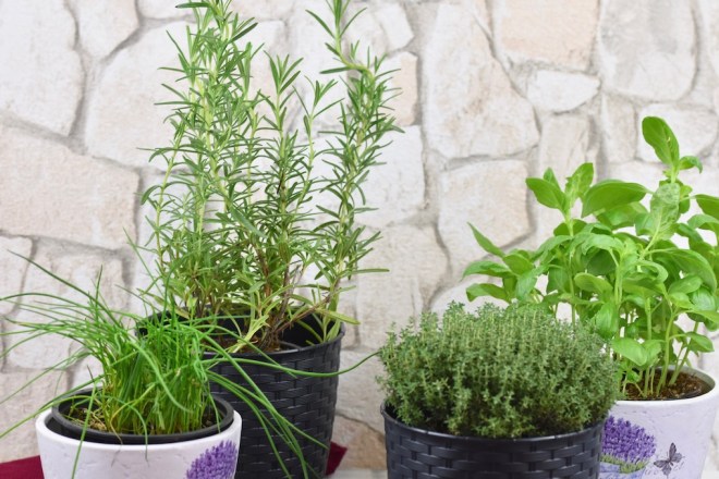 einen eigenen Kräutergarten anlegen - Kräutergarten - anlegen - Balkon - Fensterbank - Küche - Frühling - Terrasse - DIY Indoor-Kräutergarten - säen - pflegen - gießen - düngen - ernten - Kräuter