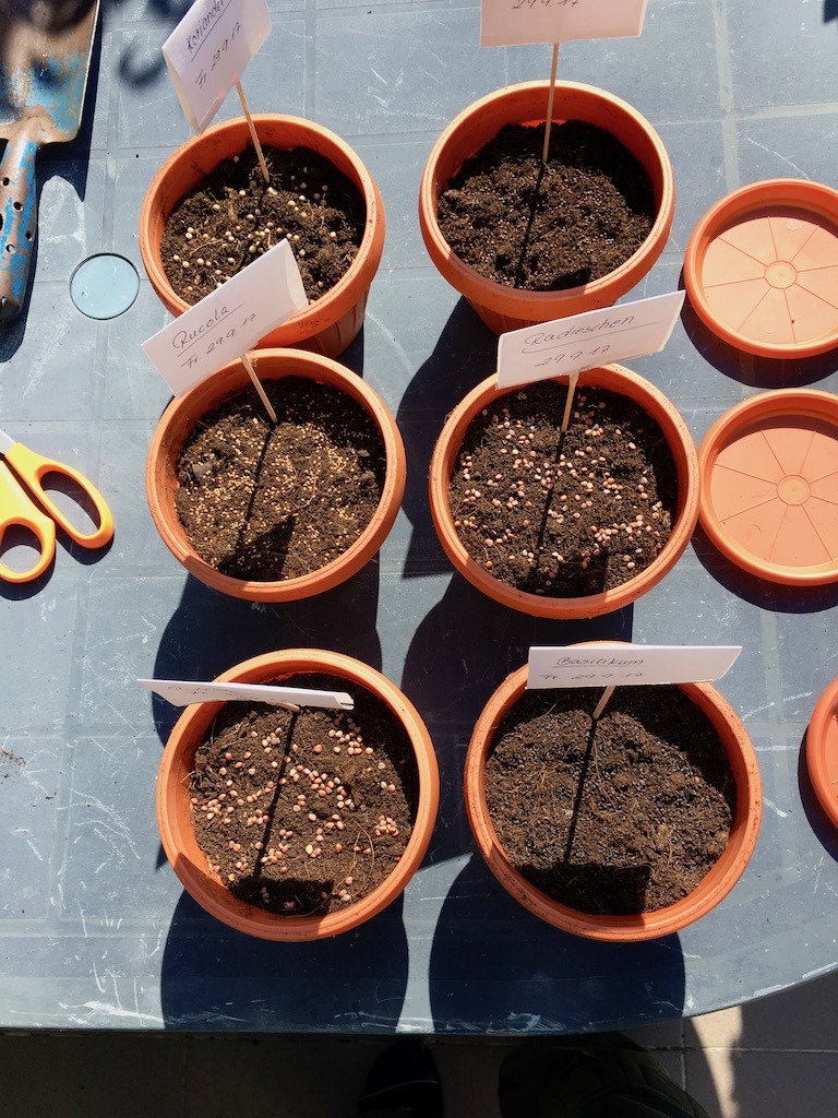 einen eigenen Kräutergarten anlegen - Kräutergarten - anlegen - Balkon - Fensterbank - Küche - Frühling - Terrasse - DIY Indoor-Kräutergarten - säen - pflegen - gießen - düngen - ernten - Kräuter