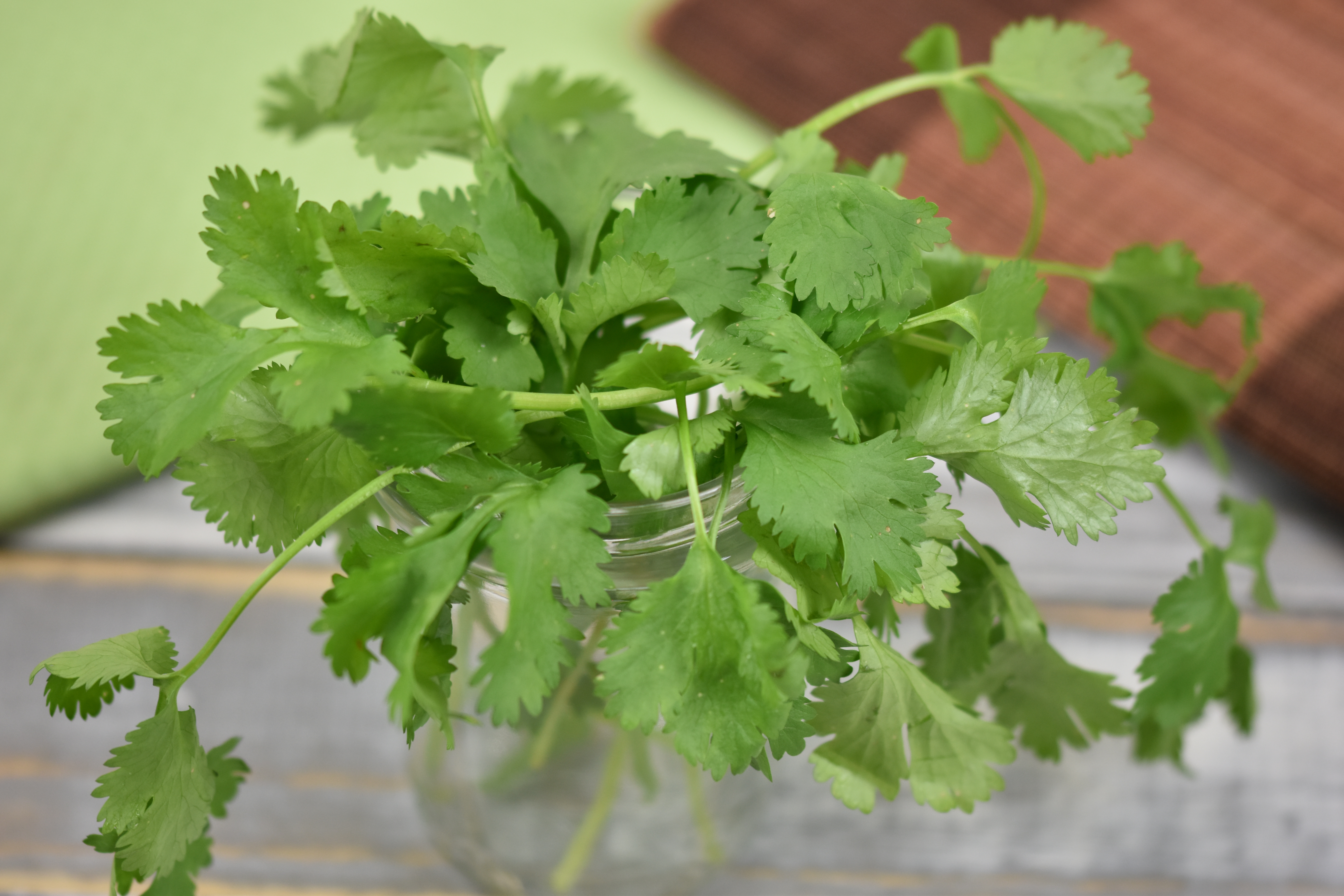 Indische Kartoffelküchlein – Aloo Tikki | Zimt & Chili Indische Kartoffelküchlein – Aloo Tikki | Zimt & Chili