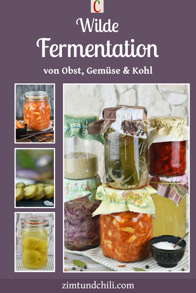 Einmachgläser gefüllt mit verschiedenen Fermenten der wilden Fermentation. Beschrifteter Pin mit mehreren Fotos.