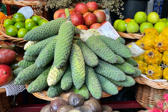 Monstera Deliciosa oder Ananasbanane