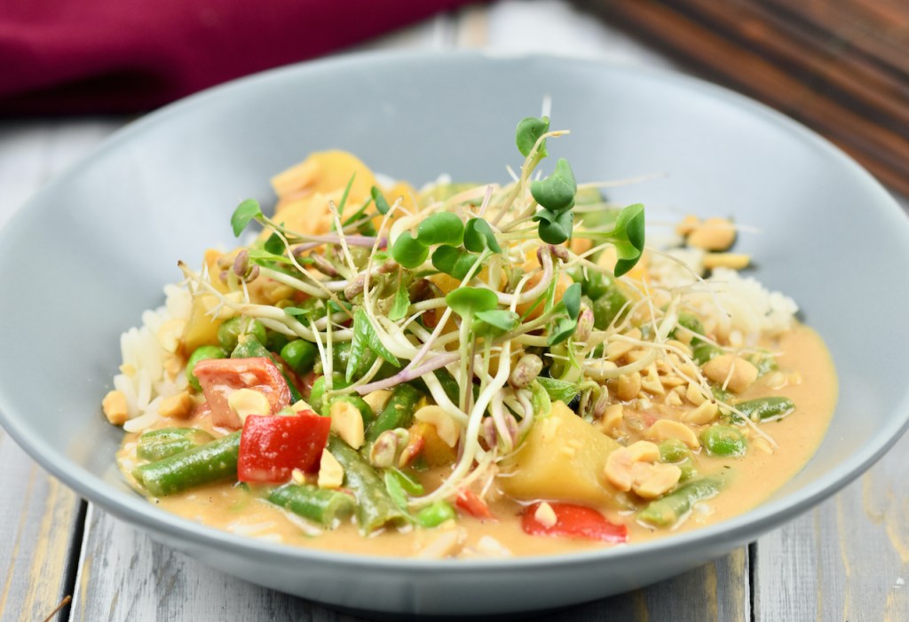 Rotes Thai-Curry mit Kokosmilch in einem grauen, tiefen Teller.
