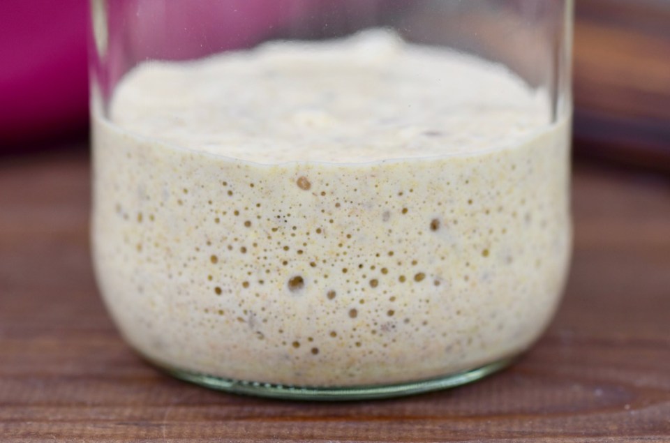 Sauerteig ansetzen - Tipps rund um Sauerteig - Sauerteig - Rezept - Roggenmehl - Brot - backen - Roggensauerteig - Sauerteigbrot - Anstellgut - Sauerteigansatz