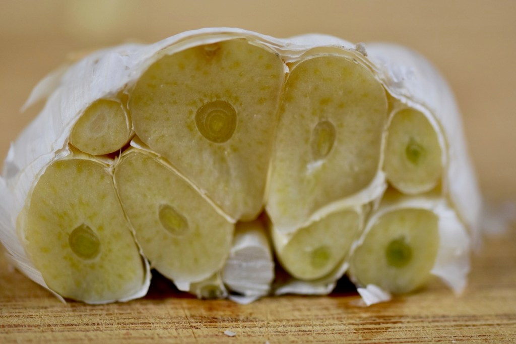 Knoblauchknolle quer aufgeschnitten, Nahaufnahme