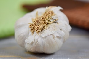 Knoblauchknolle, Hintergrund grün, braun und grau