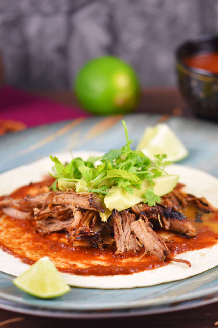 Mexikanische Carnitas mit Salsa de Chipotle, Avocado und Koriander auf Tortilla. Hintergrund dunkel.