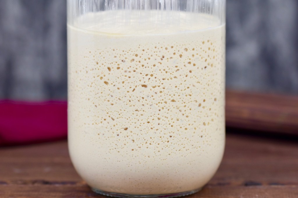 Glutenfreier Sauerteig im Glas. Man sieht die Bläschenbildung. Hintergrund dunkel.