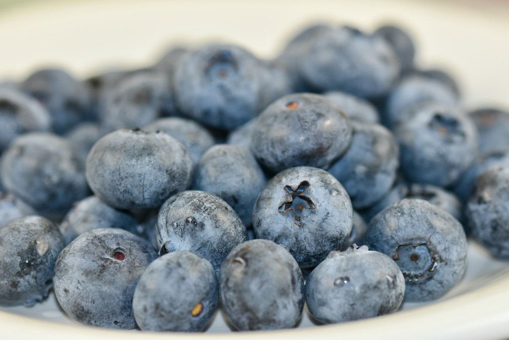 mehrere Blaubeeren auf weißem Teller