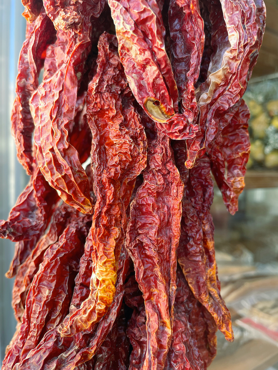 peperoni cruschi (getrocknete und dann frittierte Spitzpaprika)