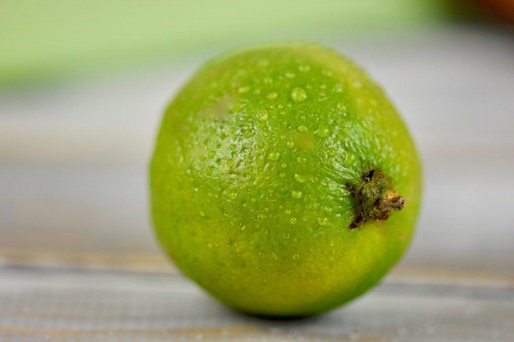 Eine Limette auf hellem Hintergrund