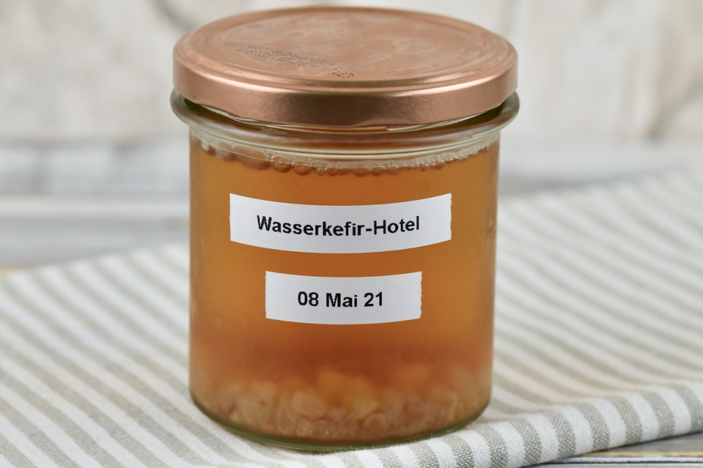 Wasserkefirkristalle in einem verschließbarem Glas mit Zuckerwasser