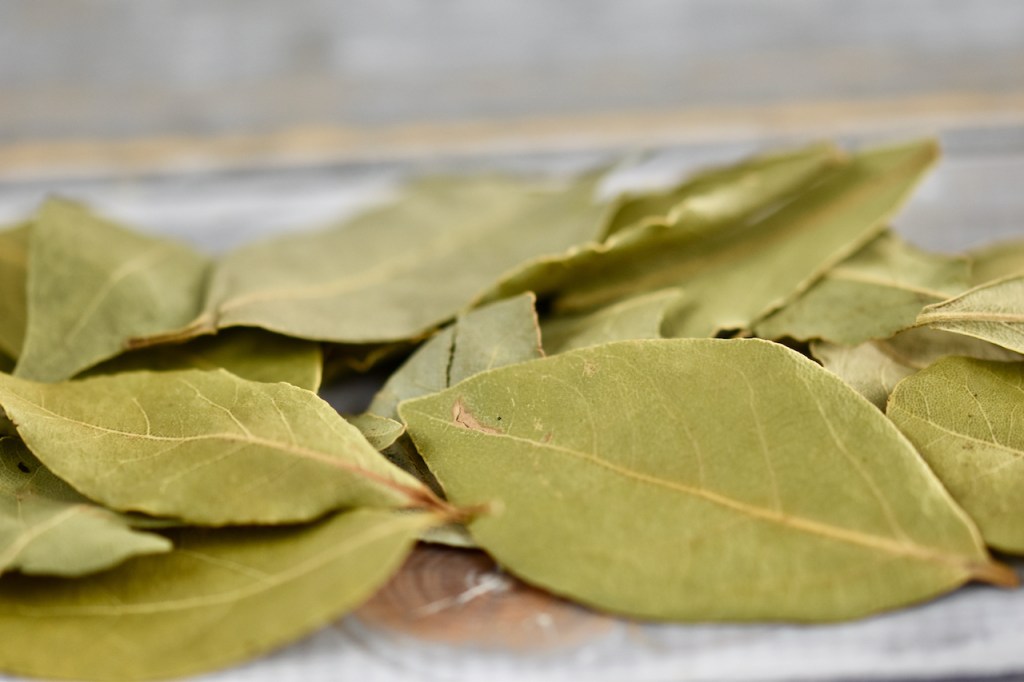 Getrocknete Lorbeerblätter. Hintergrund hell.